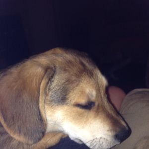 Meet your Posher, Brooklyn